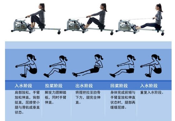 ユニセックス 35kg 室内 折りたたみ 座席 空気 ローイング マシン カーディオ トレーニング の トップ 選択