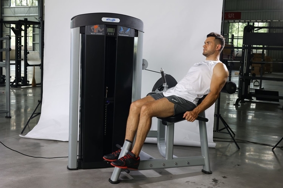 筋肉の強さトレーニングのための直接座った背筋拡張トレーナー