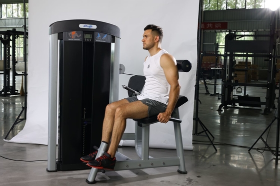 筋肉の強さトレーニングのための直接座った背筋拡張トレーナー