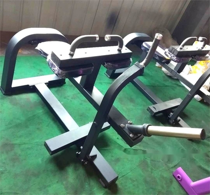 プロスポーツジム ボディビルディング 脚トレーニング 運動用のプレート装荷機械