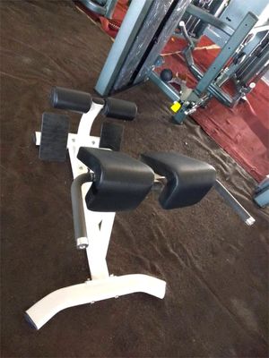 ジムフィットネス 45 度バックエクステンションマシン 選択可能なフレーム色