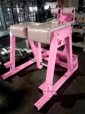 Q235 商用体育館における筋肉トレーニングのためのプレートロードされたグルートトレーニング リバースハイパー