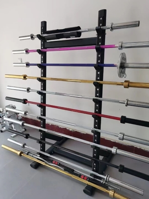デザイン EZ バーベルのカールバー あなたのジムのフリーウェイトトレーニングに完璧な追加です