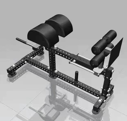 3.0mmチューブ厚さ プロスポーツジム用の多機能のグルートハンム開発機
