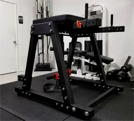 カスタマイズされた逆ハイパーエクステンションプレス 筋肉足運動機器 2200*1500*2250mm