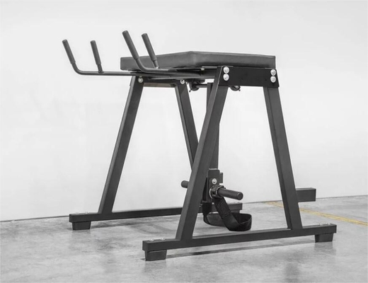 カスタマイズされた逆ハイパーエクステンションプレス 筋肉足運動機器 2200*1500*2250mm