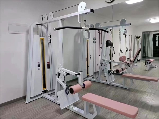 チェスト 肩 背筋 腕 運動場 装備 鋼座 低列 機械