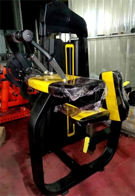 筋トレ 三頭骨 平肩 背筋 筋トレ ピン 荷重 座った 三頭骨 機械