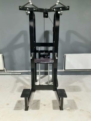 パーソナライズド ロゴ ピン 装着 フィットネス 選択 アシスト ディープ チン マシン ボディビルディング 262KG