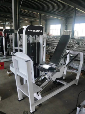 パーソナライズド カラー クッション 商用 筋力トレーニング 座った脚プレス