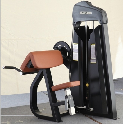 カスタマイズされた 座席 ダイプ/三頭足 拡張 中途半端 負荷 健身器具