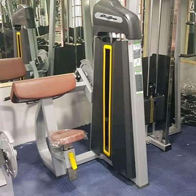 カスタマイズされた 座席 ダイプ/三頭足 拡張 中途半端 負荷 健身器具