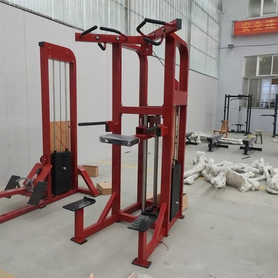商用体育館での力トレーニングのための鋼のディップ/チンアシスタッドチンプルアップマシン